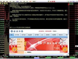 海通证券大智慧2008专业版，海通大智慧电脑版怎么按不出f10？