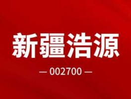 新疆浩源（st浩源主营业务？）