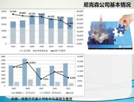 尼克森公司（中海油审批流程？）
