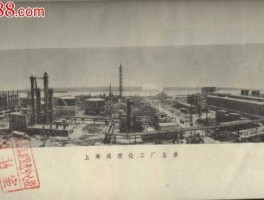 上海化工厂 上海石油化工厂属于哪种导向型工业？