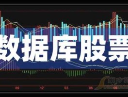 太极股份股票 it行业上市企业龙头？
