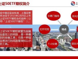 华夏上证50etf，上证50 1b0016和510050区别？