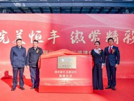 国创高新 国创高新集团现状？