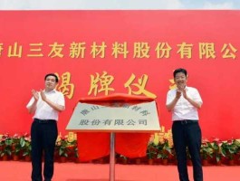 江苏三友集团股份有限公司（安徽三友建设集团股份有限公司？）