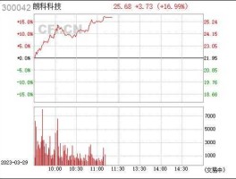 300042股票（朗科是哪个国家的？）