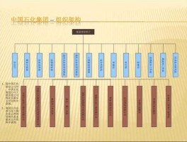 华星化工股吧（山东华星石油化工集团有限公司的组织架构？）