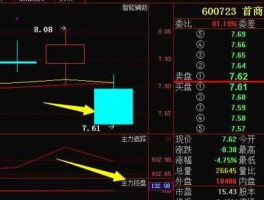 股票600723 例如，用几千万买进某个公司的股票，等赚够钱？