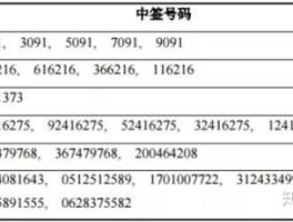 国投转债中签号？山东国投公司跟浪潮集团关系？