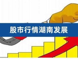湖南发展股票（湖南发展是做什么产业的？）