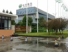 宁波杉杉股份（上海杉杉和宁波杉杉啥区别？）