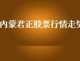 内蒙君正股票 内蒙君正是做什么的？
