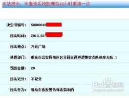 重庆交通信息网违章查询（重庆如何网上查无犯罪记录证明？）