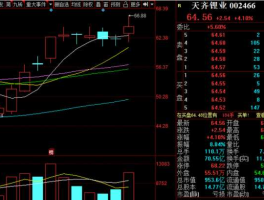 002466股票（盐湖提锂储能方面的股票？）