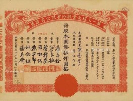 养老股票 中置盛京养老股份公司有股票吗？