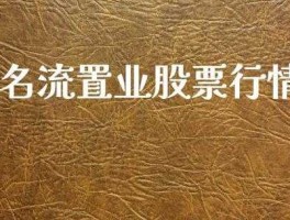 名流置业股票 名流置业怎么样？