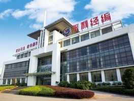永利控股 永利远集团是什么公司？