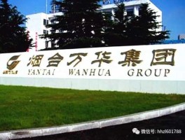 烟台万华股票（万华化学集团股份有限公司介绍？）