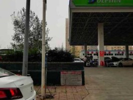 道森？道森石油哪个国家的？