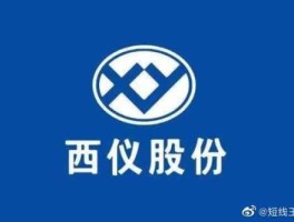 002265（002265西仪股份是国企吗？）