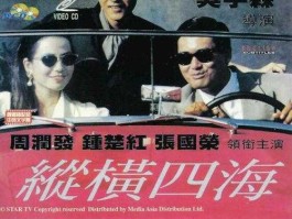 纵横四海国语，TYB电视指的是什么意思？