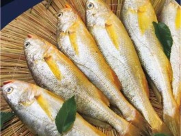 小黄鱼价格 黄鱼和黄花鱼哪个贵？