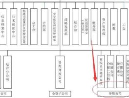 参股公司，子公司，参股公司，控股公司　分别是什么概念？