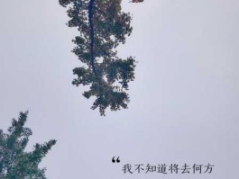 何方？&quot我不知将去何方，但我已在路上&quot这句话是什么意思？