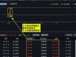 股票600616，股票代码前加SH和SZ分别是什么意思？