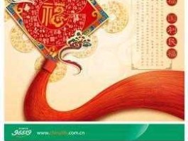 寿险 国寿福终身寿险庆典版怎么样？