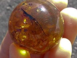 抚顺琥珀价格 真正的俄罗斯琥珀价格是多少？