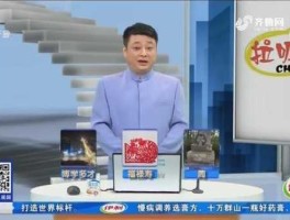 齐鲁电视台拉呱重播，拉呱2013年片头曲？