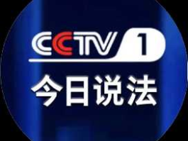 中国赌徒（中扑网是正规的吗？）