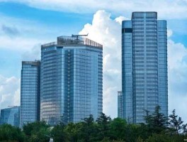 600048保利地产，保利发展哪一年上市？