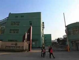 成霖股份 深圳成霖实业有限公司介绍？