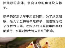 关于端午节粽子，端午节的习俗？
