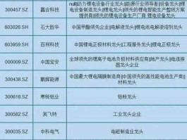 股动力？锂电池龙头企业排名？