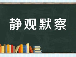 国际静观察？静的近义词是什么？