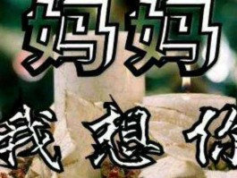 小沈阳歌曲美了美了，歌词里有妈妈呀妈妈我想你是什么歌？