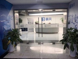 暴风科技股票 河北暴风医药科技有限公司怎么样？