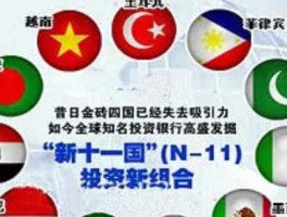 华夏全球精选（金钻十一国指哪些呢？）