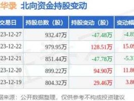 300212股票，华录智达公司好吗？