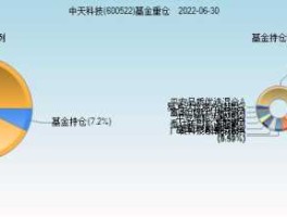 600522（600522中天科技是国有企业吗？）