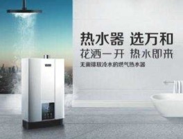 002543万和电气（万和壁挂炉从哪个国家进口？）