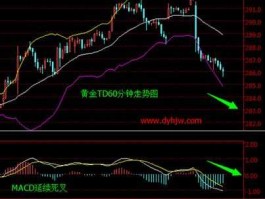 黄金t d是什么意思，请问黄金td代表什么意思？