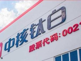 002145股票？中核钛白属于哪个国家？