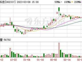 002337股票 002337赛象科技主营业务？