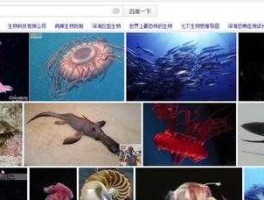 深海生物 深海里的生物有哪些？