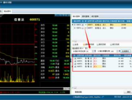 恒生homs系统（hom系统是什么？）