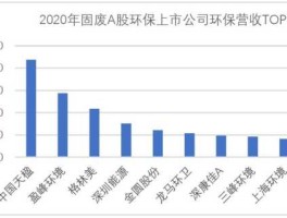 垃圾处理上市公司 2020年上市公司净利润排行榜？