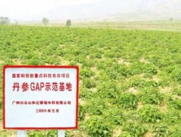 承德大宗新消息？河北承德适合种植什么药材？